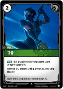 규율