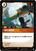 새끼 파카아