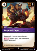 Disposal Expert