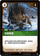 盘踞野猪