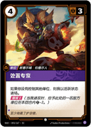 处置专家