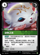 动物之友