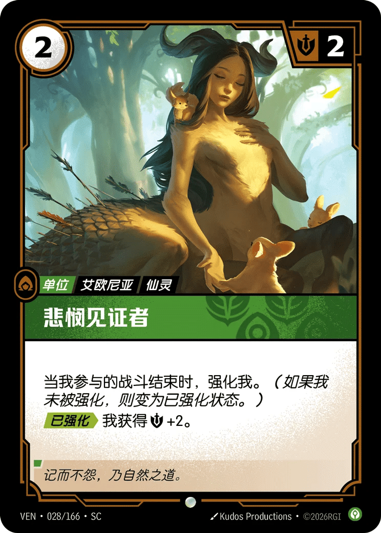 悲悯见证者